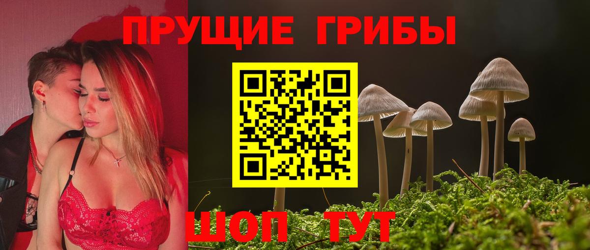 Псилоцибиновые грибы Psilocybine cubensis  Псилоцибиновые грибы ЛСД  Вход с VPN  Бор 